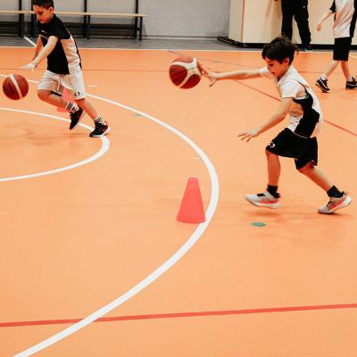 Pallacanestro Giovanile Montecchio 03